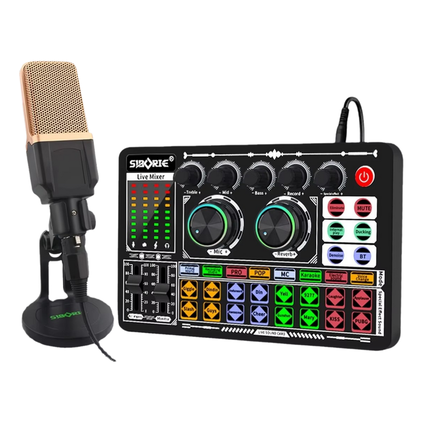 F999 + M998 Sound Card Microphone Set